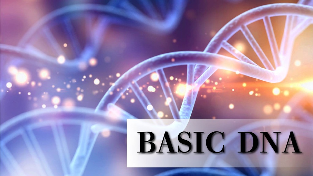 BASIC DNA